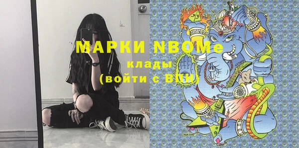 прущие грибы Верхний Тагил