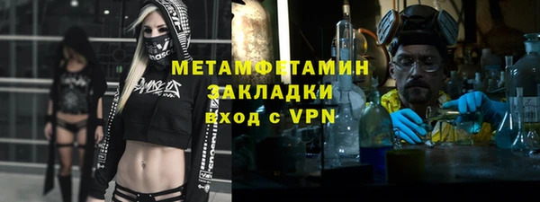 прущие грибы Верхний Тагил