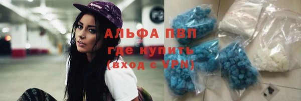 прущие грибы Верхний Тагил