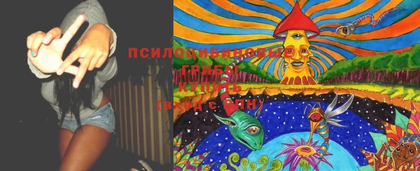прущие грибы Верхний Тагил