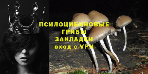 гидра Верхнеуральск