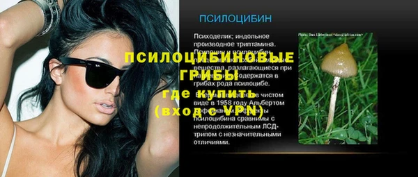 дурь Верея