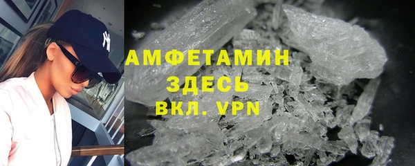 прущие грибы Верхний Тагил